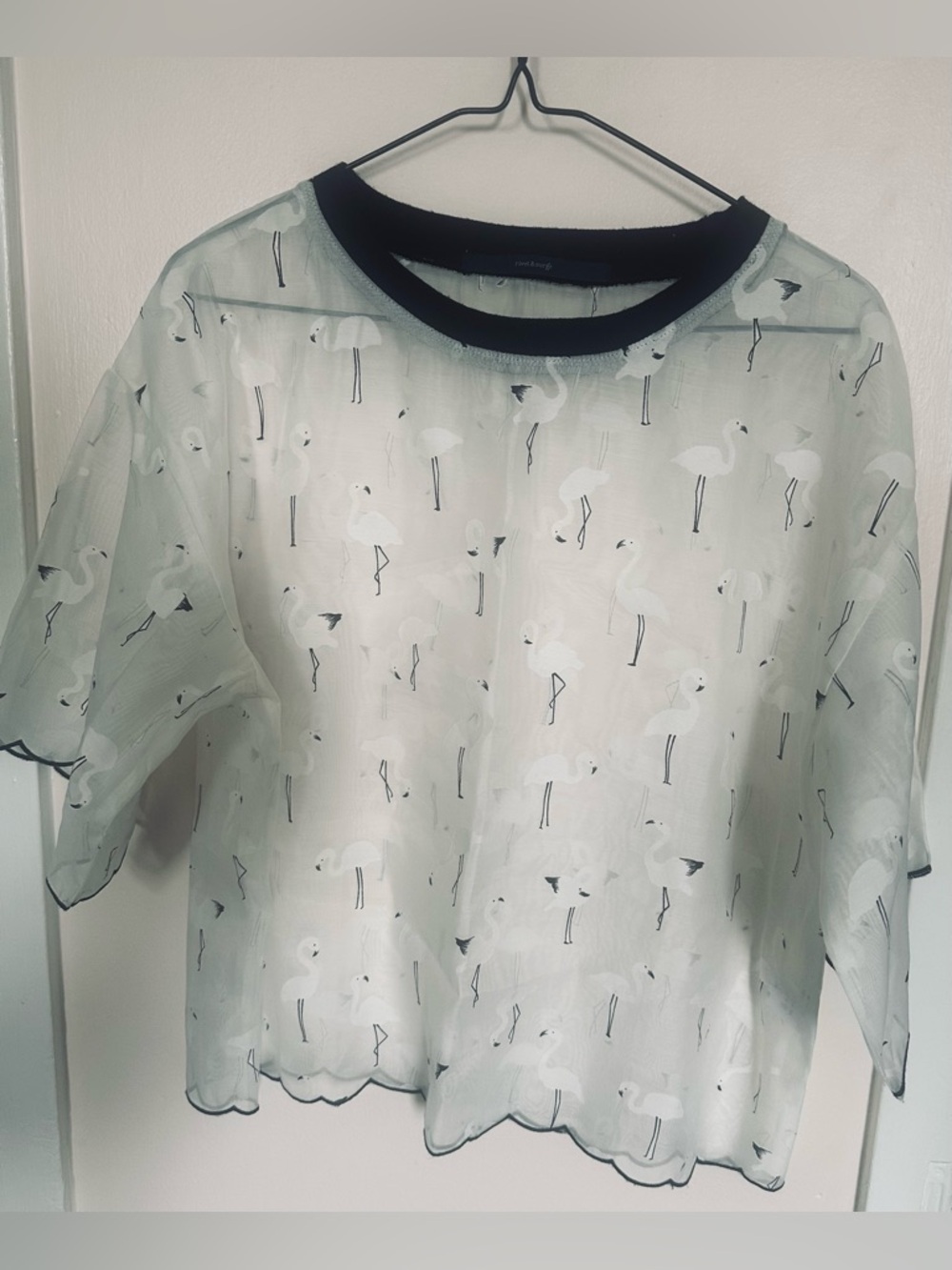 Rivet & Surge flamingo sheer top